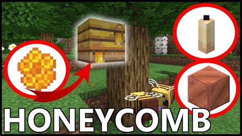 Learn How To Harvest Honeycomb In Minecraft Complete Guide