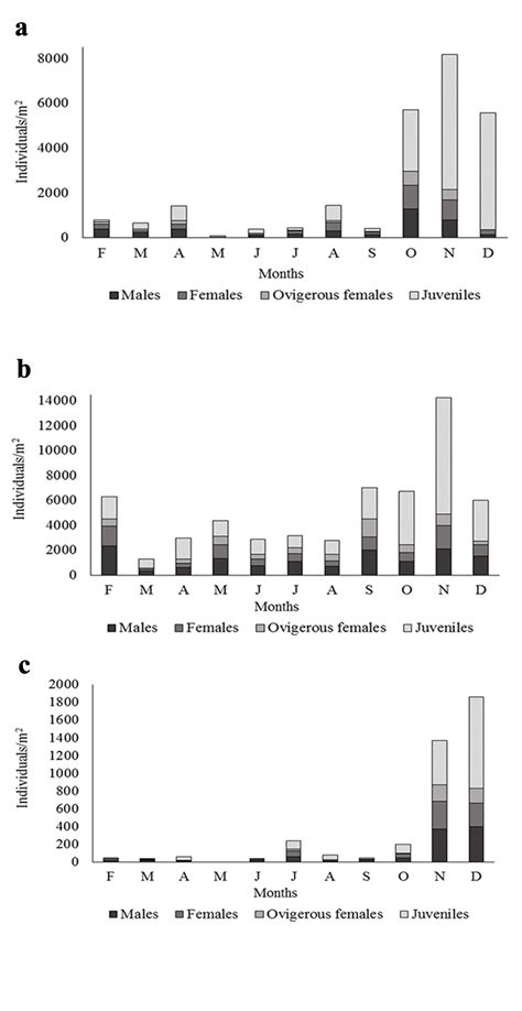 Scielo Brasil Ecological Aspects Of Natural Populations Of Hyalella Pampeana Crustacea