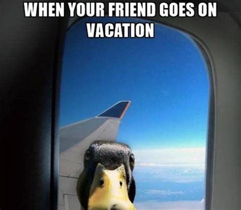 Vacation Time Meme