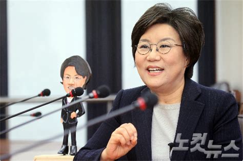 2배수 압축 컷오프 내홍이혜훈 경선 파국 올 것 노컷뉴스