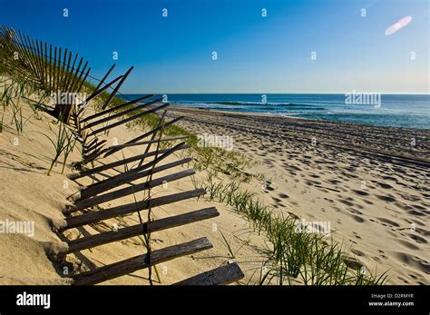 Sand Dune Fences At Island Beach State Park New Jersey Stock Photo Alamy