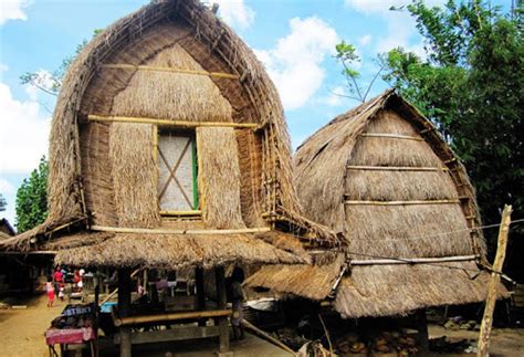 Rumah Adat Ntb Khas Suku Asli Lombok Sasak Dalam Loka Samawa Catatan