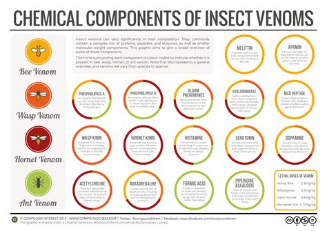 Chart: The chemistry of bee stings | Vox