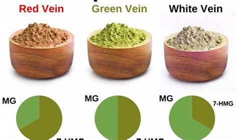 Unveiling The Secrets Of Red Vs Green Kratom Discoveries