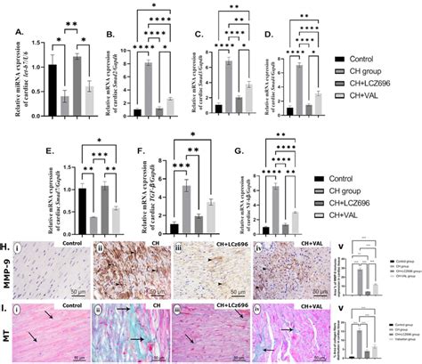 The Effect Of Lcz And Val Administration On The Mrna And Protein