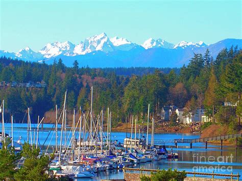 Port Ludlow Marina Olympic Mountain View Photograph By Janie Easley