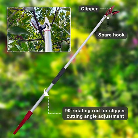 fruit tree trimmer 10