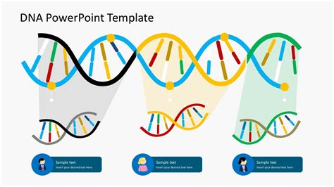 Organization Culture Dna Powerpoint Templates