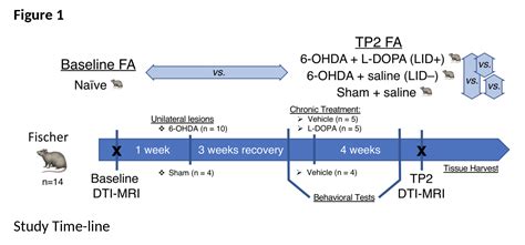 Assessment Of Microstructural Changes Associated With Levodopa Induced