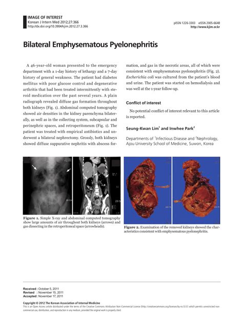 Pdf Bilateral Emphysematous Pyelonephritis