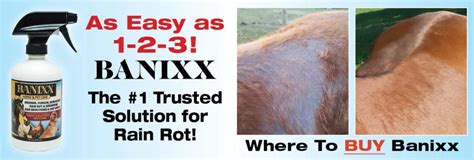 Rain Rot In Horses Banixx Rain Rot Treatment For Horses