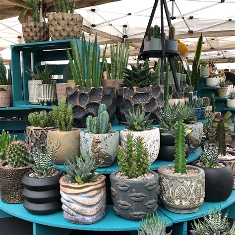 Pretty Fly for a Cacti; Pedddle explains how Artisan Markets are