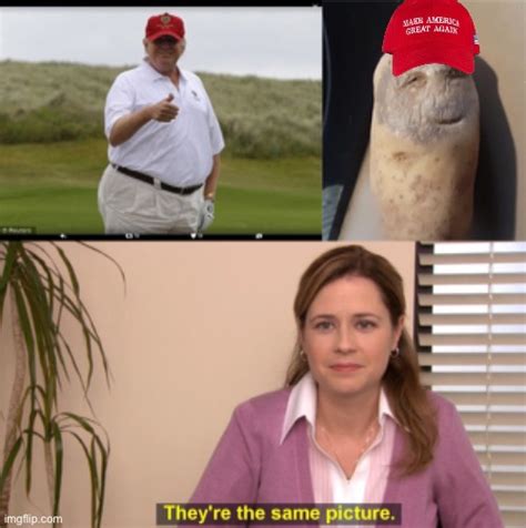 Image Tagged In Fat Donald Trumpsick Potatomemestheyre The Same