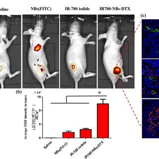 Tumor Targeting Rates Of IR780 NBs DTX IR 780 Iodide And NBs FITC