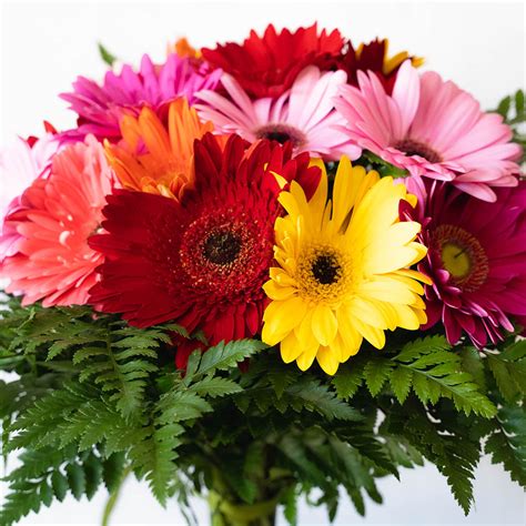 Profumo di primavera Promo - Fiorista Donatella l Fioraio Bologna