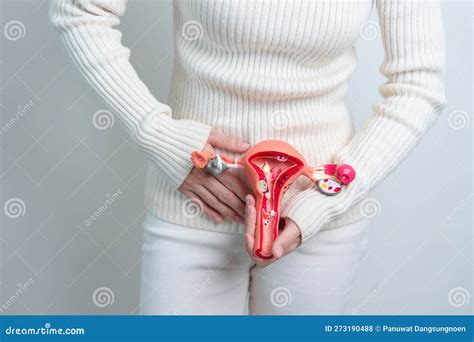 Donna Con Utero E Ovaie Tumore Ovarico E Cervicale Disordine