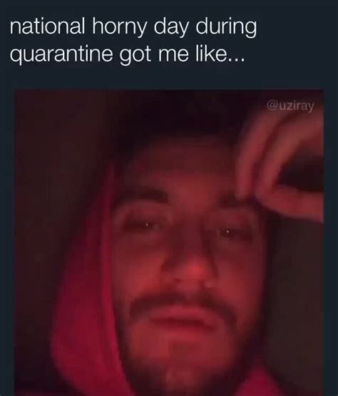National Horny Day During Quarantine Got Me Like IFunny
