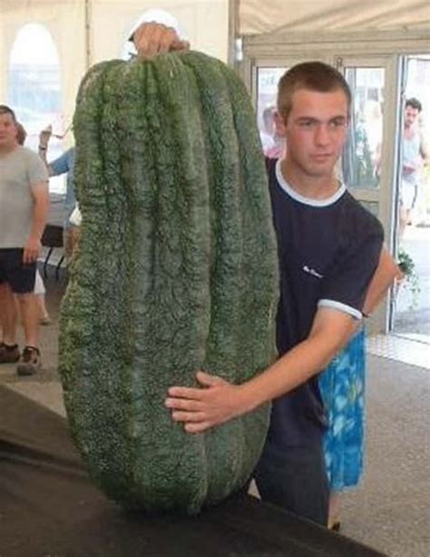 Worlds Largest Vegetables Gallery Ebaums World