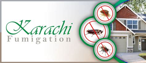 No1 Fumigation And Pest Control Services In Karachi Pakistan