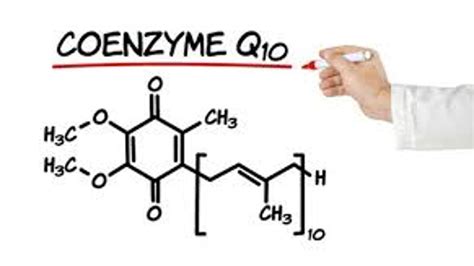 What Is Coenzyme Your Health Guide Coq10blog