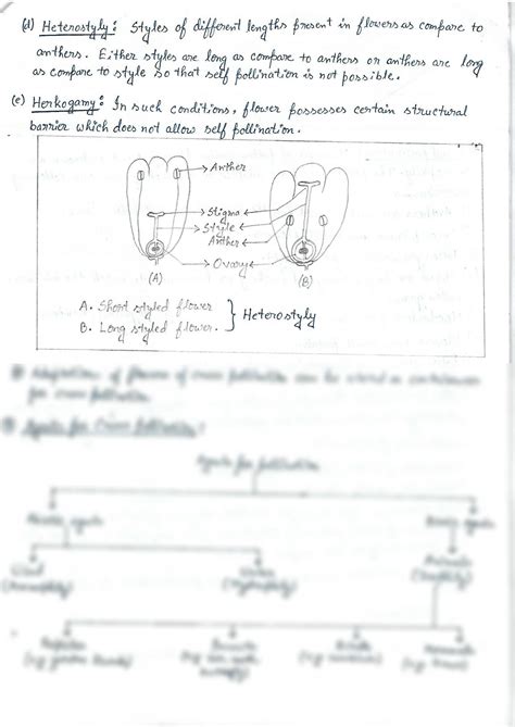 Solution Biology Ch Pollination And Fertilization Notes Studypool