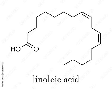 Linoleic Acid LA Molecule Omega 6 Polynsaturated Fatty Acid