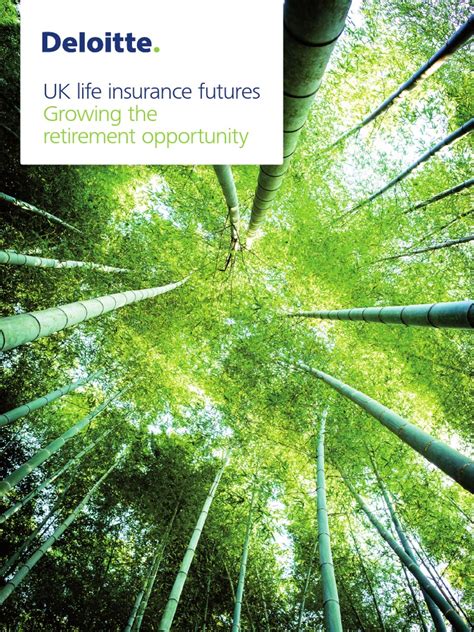 Deloitte Uk Life Insurance Futures Pdf Pension Insurance