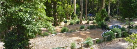 South Coast Camping Ground near Batemans Bay NSW