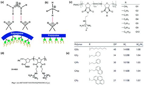 Schematic Representation Of The A Bidentate And B Monodentate