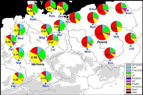 Haplogroup distribution in regional populations from Poland (eight ...