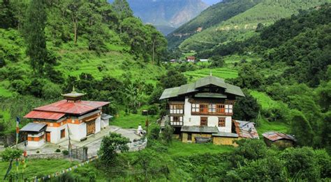 Bhutan Nature Trail | Bhutan Holidays | Bhutan Swallowtail