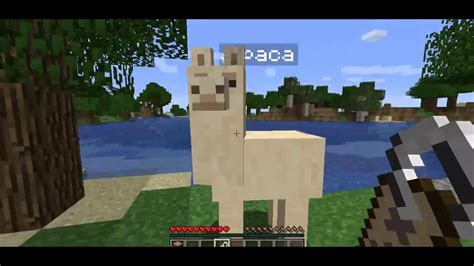 Una Alpaca En Minecraft YouTube