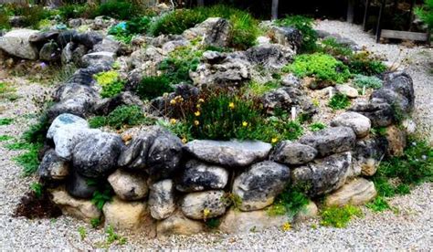 Landscaping Ideas For Front Of House With Rocks