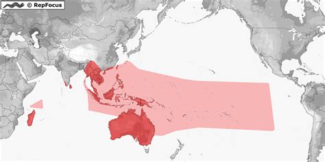 Distribution Of Gehyra Repfocus