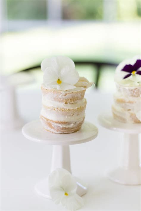 Naked Mini Cakes Diy Zevy Joy