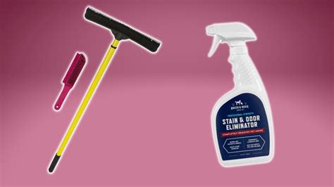 16 Best Cleaning Products Every Home Needs - Ask.com