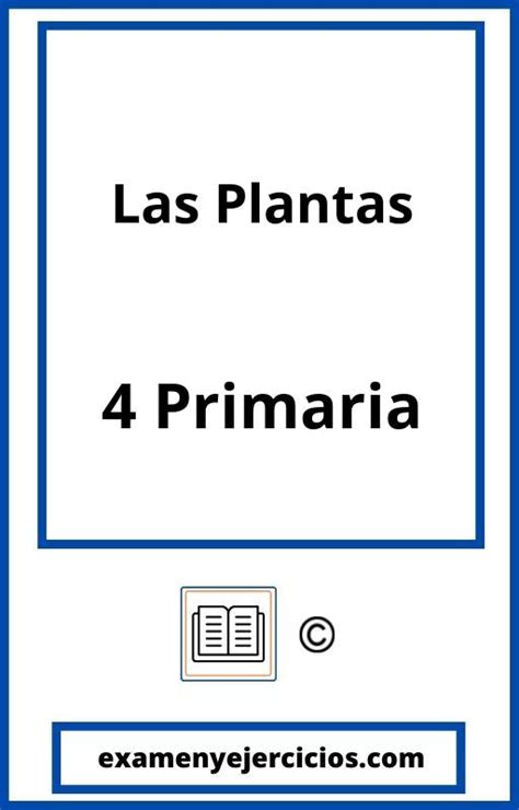 Examen Las Plantas Primaria