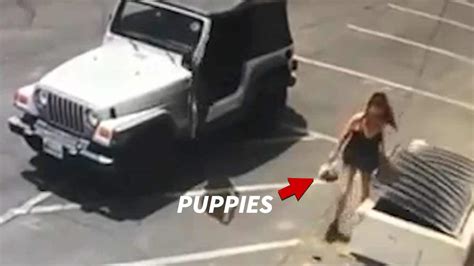 Coachella Woman Caught On Video Throwing Bag Of Puppies In Dumpster