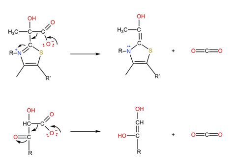 Essential Organic Chemistry Global Edition Exercise