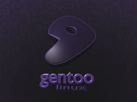 Gentoo Wallpapers Top Free Gentoo Backgrounds Wallpaperaccess