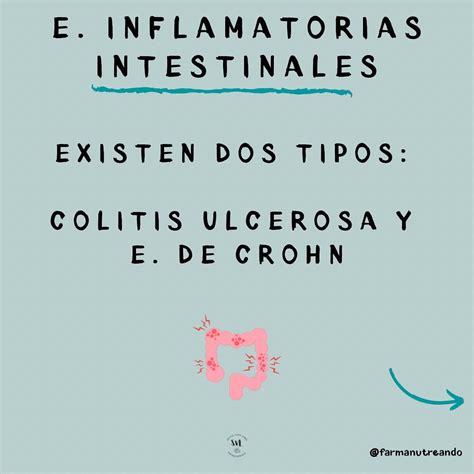 Enfermedades Inflamatorias Intestinales Eii Silvia Vigo Lema