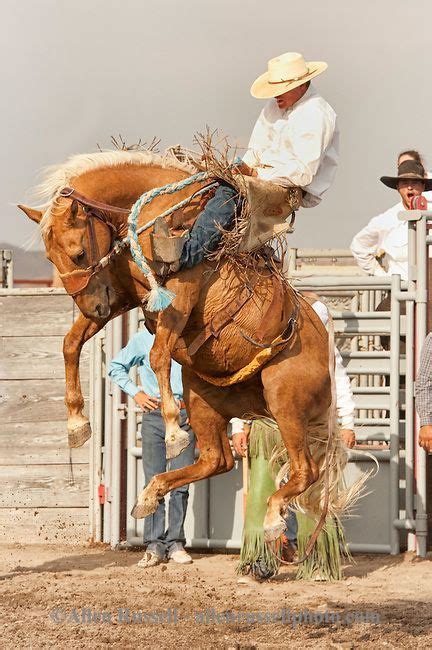 Will James Roundup Ranch Rodeo Ranch Bronc Riding Hardin Montana