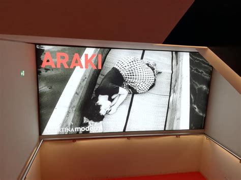 Araki Und Xenia Hausner Kunstflanieren In Wien Vielfalten