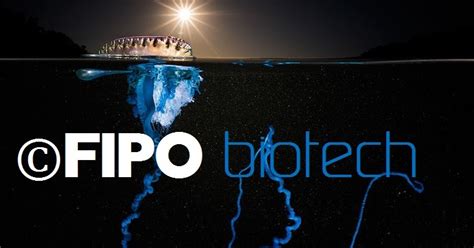 FIPO BIOTECH Soluciones Innovadoras