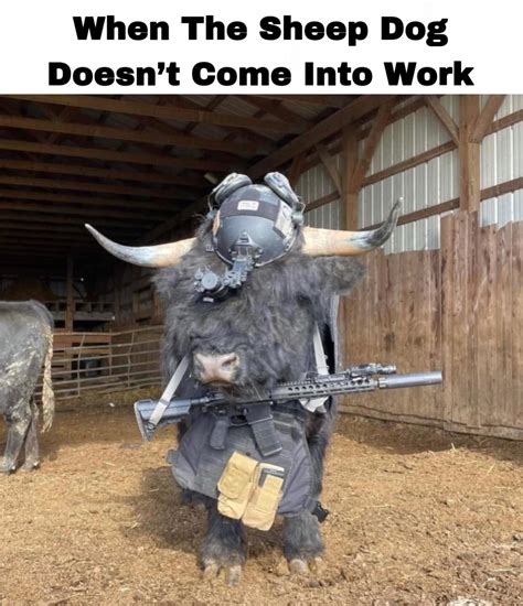 Tactical Bull Rgunmemes