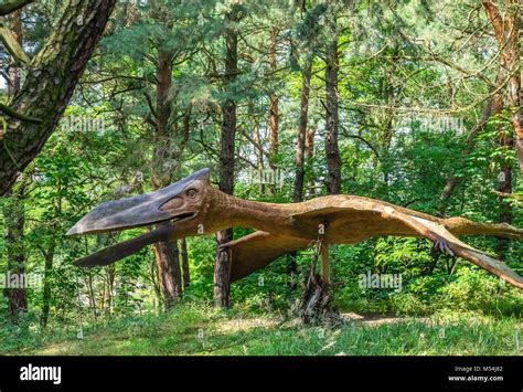 Life Sized Quetzalcoatlus Dinosaur Stock Photo Alamy