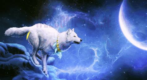 Galaxy Wolf Howling At The Moon Gif