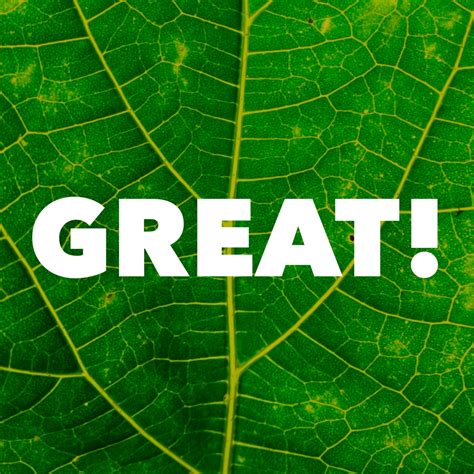 Five Reasons Church Plants are Great at Starting Fresh Expressions ...
