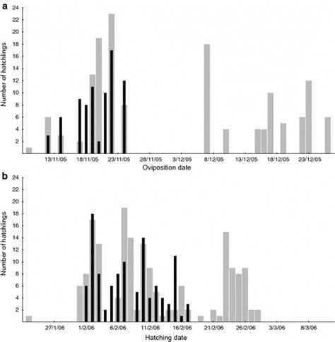 Sex Specific Frequency Distributions Of Hatchling I Lesueurii By A Download Scientific Diagram