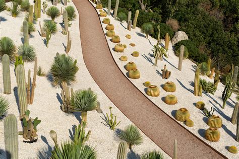 20 Stunning Xeriscape Landscaping Ideas